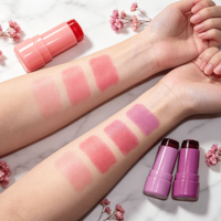Stick de blush de qualité supérieure, haute pigmentation, imperméable, fini naturel, teinte claire, kit de maquillage cosmétique
