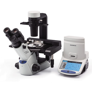 Microscopio Invertido de Imágenes Digitales Olympus CKx53 Compatible con Cámaras para Documentación y Análisis - Product Image 2
