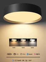 Plafonniers ronds de style moderne et luxueux 60W 80W 100W 120W DALI à gradation suspendue