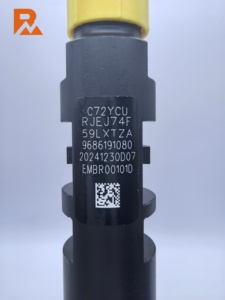 Inyector Common Rail EMBR00101D 9M5Q-9F593-BA R00101D para Citroën 2.0 HDI Focus 2.0 TDCI - Product Image 2
