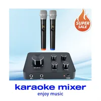 Système de mixage portable professionnel sans fil à double microphone 2 canaux, stable, portée 10m, anti-Feedback, pour réunions à domicile