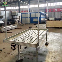 Abs 4X8 2 'x 4' 2X8 kaki rolling banjir custom ebb dan aliran meja baki bangku untuk rumah kaca pembibitan, hidroponik