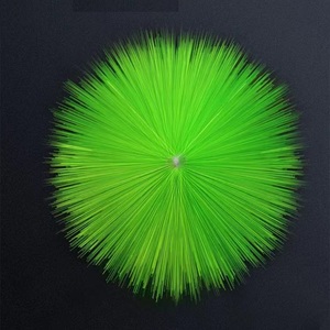 Sinh Học Bàn Chải Lọc Koi Pond Lọc Bàn Chải Đẻ Trứng Koi Cá Chép Bàn Chải - Product Image 5