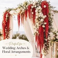 Amaranthus Gantung Kualitas A, Awet, Grosir, untuk Rangkaian Bunga DIY, Dekorasi Pernikahan, Kotak Kustom