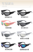 Lunettes de soleil enveloppantes OEM élégantes style Alien, protection UV400, monture PC, lunettes futuristes ovales tendance Y2K, pour femmes et hommes