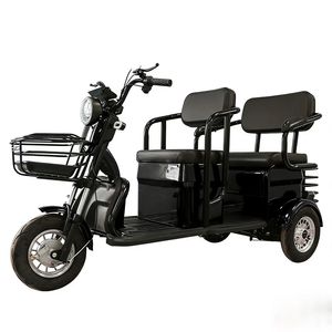 Nueva Bicicleta Eléctrica de 3 Ruedas con 750W de Gran Potencia, <span class=keywords><strong>Triciclo</strong></span> Eléctrico Inteligente - Product Image 1