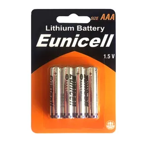 Baterai Lithium FR6 FR03 AAA 15V 10450 Tidak Dapat Diisi Ulang