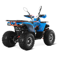 Tao Motor 2024 nouvelle chaîne d'entraînement de jante en alliage automatique avec marche arrière 125cc ATV CUATRIMOTO pas cher ferme ATV 125