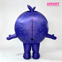 Costume de mascotte gonflable personnalisé en forme de myrtille, tenue gonflable de dessin animé de fruit portable pour défilés et événements publicitaires