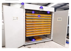 Máy Ấp Trứng Tự Động 5280 Được CE Phê Duyệt Kỹ Thuật Số Bán Chạy Nhất Máy Ấp Trứng Gà - Product Image 3