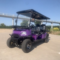 Carros de golf eléctricos chinos de 2, 4, 6, 10 y 12 plazas, turismo/entrenador turístico/Autobús de excursión, autobús de observación para Resort de fábrica