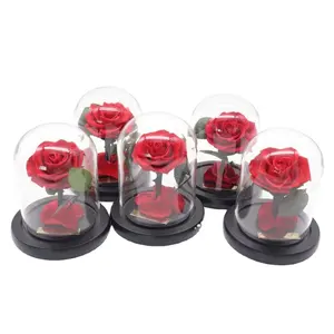 Cadeaux OEM parfaits pour la Saint-Valentin, plusieurs couleurs conservées, de vraies fleurs de roses éternelles dans un dôme en verre de nombreuses tailles