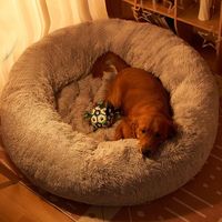 Coussin universel quatre saisons en coton PP à poils longs pour chien, très grand, épaissi, pour grands chiens et animaux de compagnie, design surdimensionné, chaud pour l'hiver, résistant à l'eau