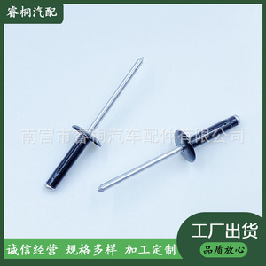 Rivets aveugles Shuangxuan 4 mm x 19 mm en acier pour la fixation des pare-chocs et des ailes de voiture - Product Image 5