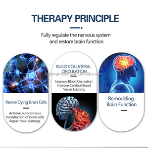 Appareil de thérapie cérébrale professionnel TMS RTms <span class=keywords><strong>Stimulation</strong></span> <span class=keywords><strong>magnétique</strong></span> transcrânienne - Product Image 4