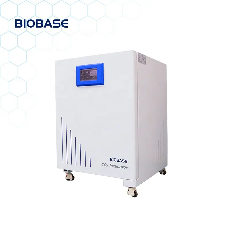 BIOBASE cina CO2 incubatore BJPX-C80II biochimico per laboratorio