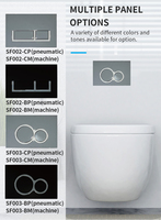 Cadre de toilette suspendu au mur réglable double chasse installation rapide fixation rapide citerne dissimulée SH005G