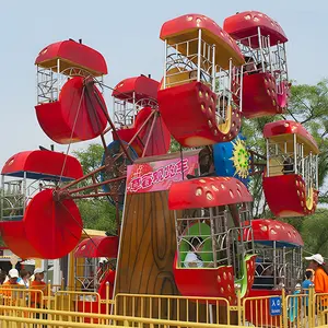 High Quality Double Sides Mini Ferris Wheel Outdoor Entertainment Kids Mini Ferris Wheel For Sale