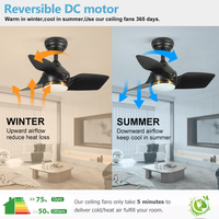 Ventilateur de plafond moderne noir mat et or de 26 pouces avec kit d'éclairage LED 20W, 3 pales, télécommande, 110-240V