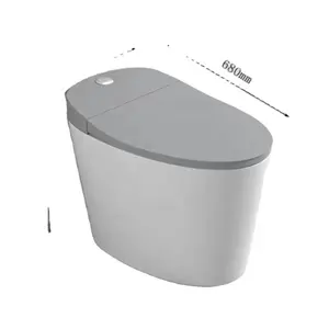 עמיד flush כפול geberit הסמוי קיר סגנון מחשבים פלסטיק תכונה חומר מקור מים סוג fob גואה המוצר מקום dpt