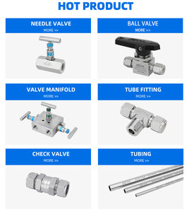 Conector de Tubo de Compressão Forjado Polido Tipo Swagelok 2026, Venda Quente, SS316, Dupla Ferrule, Pressão de Trabalho de 6000psi, BSPP/BSPT/NPT - Product Image 6