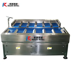 New accurate check weigher production line packing weighing machine belt weight counter.