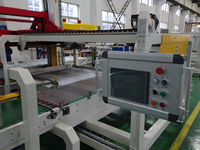 Máquina Paletizadora Eléctrica Automática de Bajo Nivel, Apilador de Pórtico para Cajas de Cartón, Botellas de Salsa, Embalaje, Industria de Bebidas