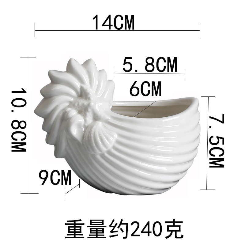 Conchiglia bianca pancia grassa