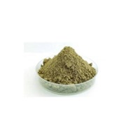 Poudre de protéines végétales d'extrait de chanvre biologique 60% non-OGM pressée à froid, qualité alimentaire végétalienne, nutrition sportive CAN/Drum