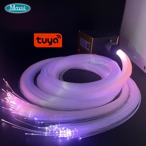 Éclairage de plafond à fibres optiques scintillantes RGBW avec contrôle WIFI, application intelligente TUYA, lumières de plafond étoilées à fibres optiques - Product Image 1
