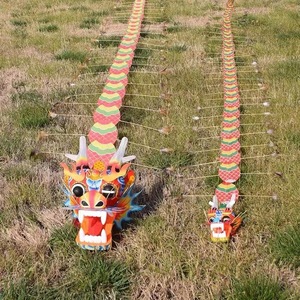 Globo Aerostático de Libélula Grande, Nuevo y de Alta Gama, Hecho a Mano con Poliéster, Regalo para Bebés, Artículo Artesanal, Caja de Regalo - Product Image 3