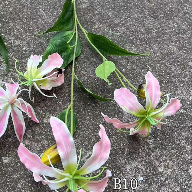 6# Rosa, B10 5 rosa giglio fiamma