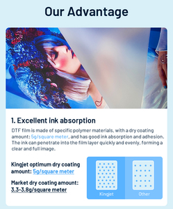 Pellicola PET DTF con Motivi in Polvere Plastisol Trasparente Personalizzata per Stampa a Trasferimento su Magliette - Product Image 2