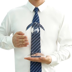 Trophée en cristal noble, <span class=keywords><strong>prix</strong></span> du champion, design <span class=keywords><strong>globe</strong></span> pour événements sportifs, reconnaissance d'entreprise - Product Image 5