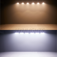 2x100W COB PAR LED Blinder Light CW+WW Double canal DMX512 pour Église Scène Mariage Événement