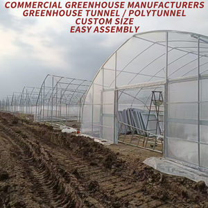 Serres agricoles et horticoles à simple travée, structure complète avec couverture en film PE - Product Image 3