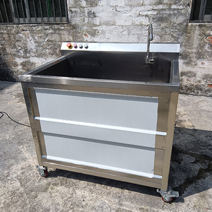 Máquina Industrial de Lavado de Frutas y Verduras con Ozono, de Acero Inoxidable, Precio Competitivo - Product Image 5