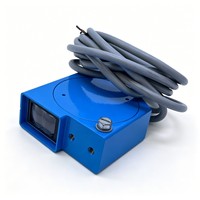 Sensor de Fibra Óptica 100% Original 6032555 WLL190T-2P333, Salida PNP, WLL190T2P333, 12 Meses de Garantía
