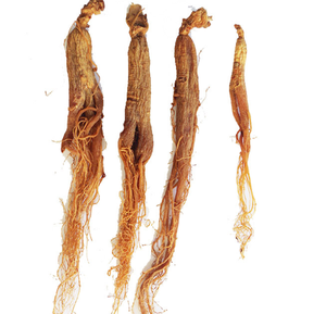 Racines de ginseng coréen Panax séchées en tranches de 6 ans de <span class=keywords><strong>la</strong></span> <span class=keywords><strong>montagne</strong></span> de Changbai pour les herbes - Product Image 6
