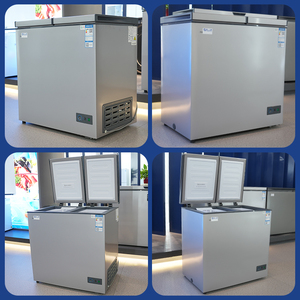 Congélateur Coffre Commercial Silencieux à Double Porte et Refroidissement Direct de 200 Litres, Surgélateur Inverter pour Supermarché et Chambre Froide - Product Image 3