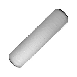 Membrana PES 0,22 micras 10 pulgadas Cartuchos de filtro plisado agua para sistema de filtración industrial