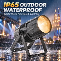 Projecteurs LED COB DMX Zoom 300W Blanc Chaud en Aluminium Étanche IP65 pour Spectacles de Scène en Parc à Thème Extérieur