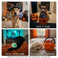 Ensemble de jouets en peluche pour chien Halloween, comprenant des jouets couineurs, des chauves-souris, des citrouilles, des yeux, des sucettes et des paniers de bonbons, jouets à mâcher pour animaux de compagnie pour les fêtes, vente en gros