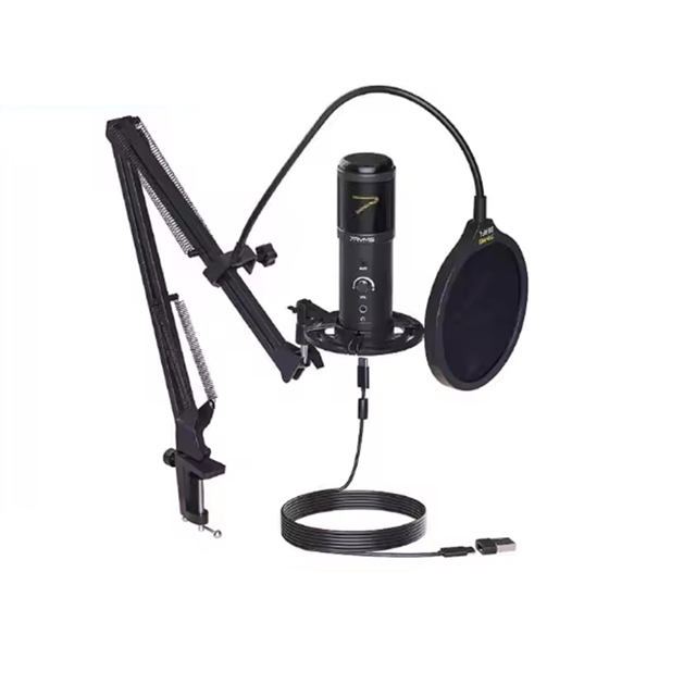 7RYMS SR-AU01-K1 Noise Cancelling 48kHz 24bit USB-C Wired Condenser Cardioid Lightweight Portable Desktop Microphone for