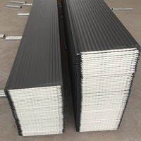 Panel de Pared Sándwich Metálico con Relieve, Revestimiento Exterior Aislado de Poliuretano (PU) para Casas Prefabricadas