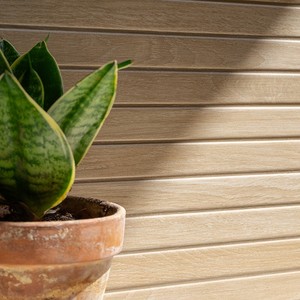 Piastrella Rettificata Opaca Kioto Oak 30x90 Cm per Pavimento e Parete - Product Image 5