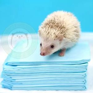 Emballage personnalisé, coussinets absorbants jetables en charbon de bambou pour animaux de compagnie, 33*45, pour petits animaux - Product Image 3
