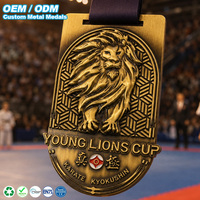 Médaille de karaté antique personnalisée en alliage de zinc avec relief 3D de lion, récompense vintage pour championnat d'arts martiaux, logo de tournoi, compétition sportive
