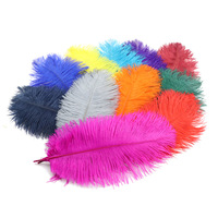 Vente en gros 25-30cm plumes d'autruche rose rouge jaune noir vert plumes d'autruche en vrac pour la décoration