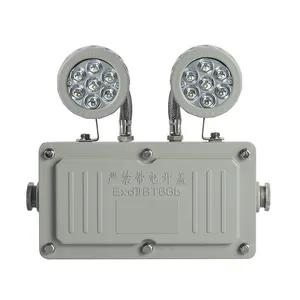 Explosion Proof Emergency IP65 WF2 Commercial Wall Mounted Double Heads